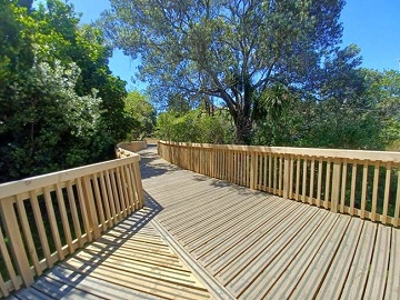 View looking up to treetops boardwalk section
